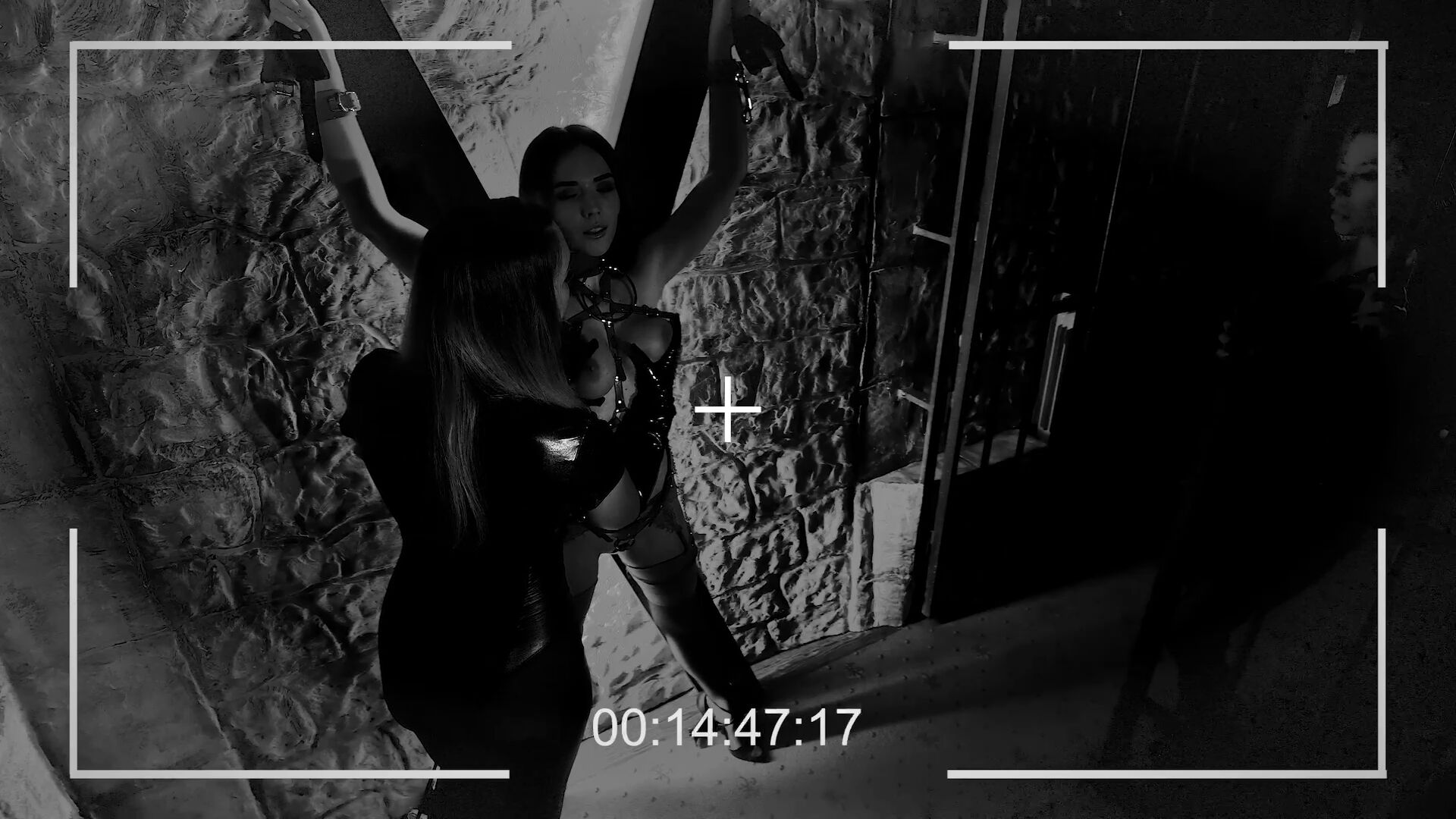 BDSM Life